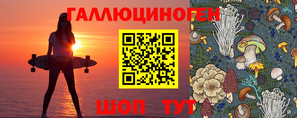 Галлюциногенные грибы Psilocybine cubensis  Вход с VPN  Осинники 