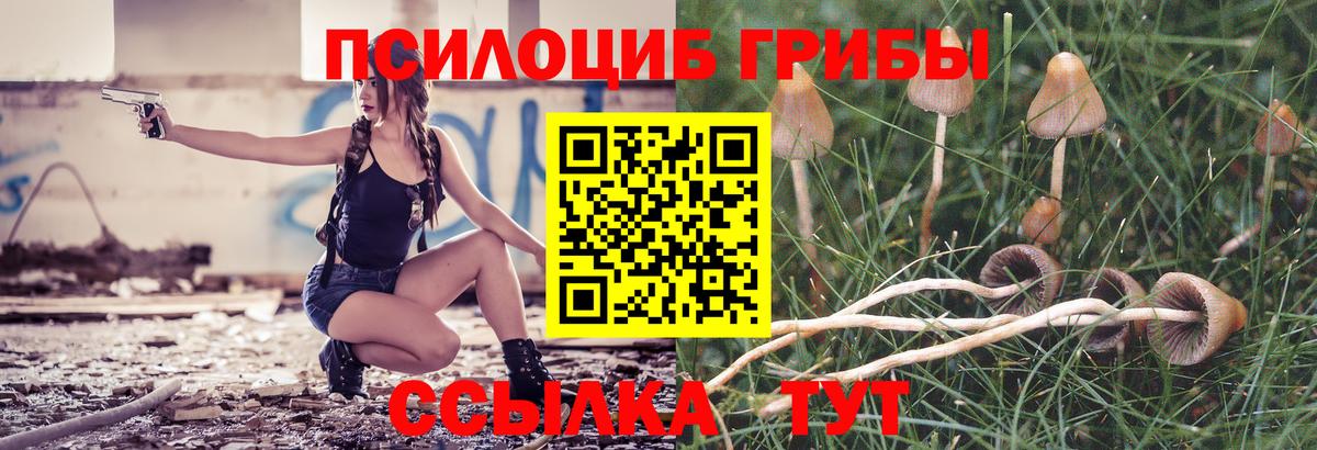 Галлюциногенные грибы мицелий Осинники